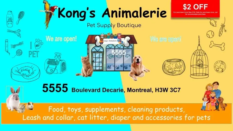 KONG ANIMALERIE - Montreal Pet Store Logo