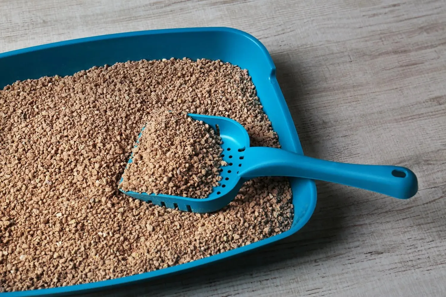 Clumping cat litter