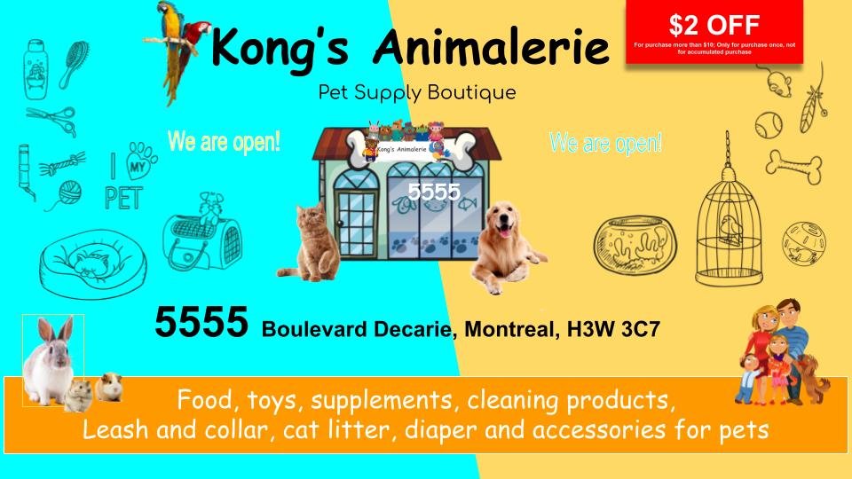 KONG Animalerie Logo